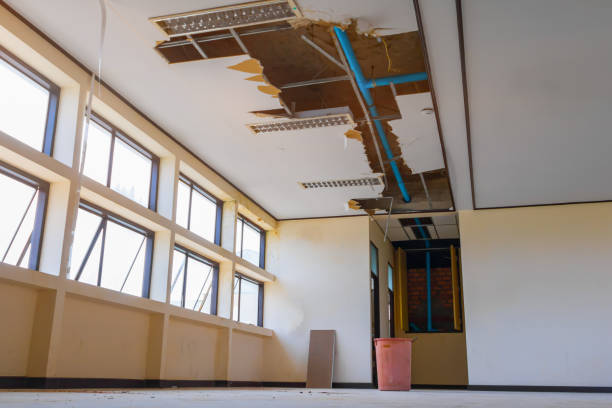 Best Water damage contractors near me  in Glenpool, OK